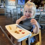 <span class="dot_blue">dot</span>: <span class="dot_gray">the original</span> <span class="dot_coral">dine out tray</span>